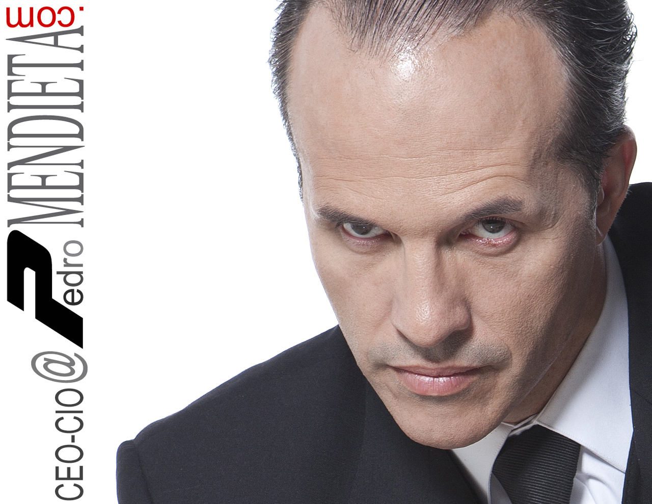 E-mail: CEO-CIO@PedroMENDIETA.COM